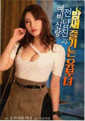 白鸟之约 文艺爱情电影海报